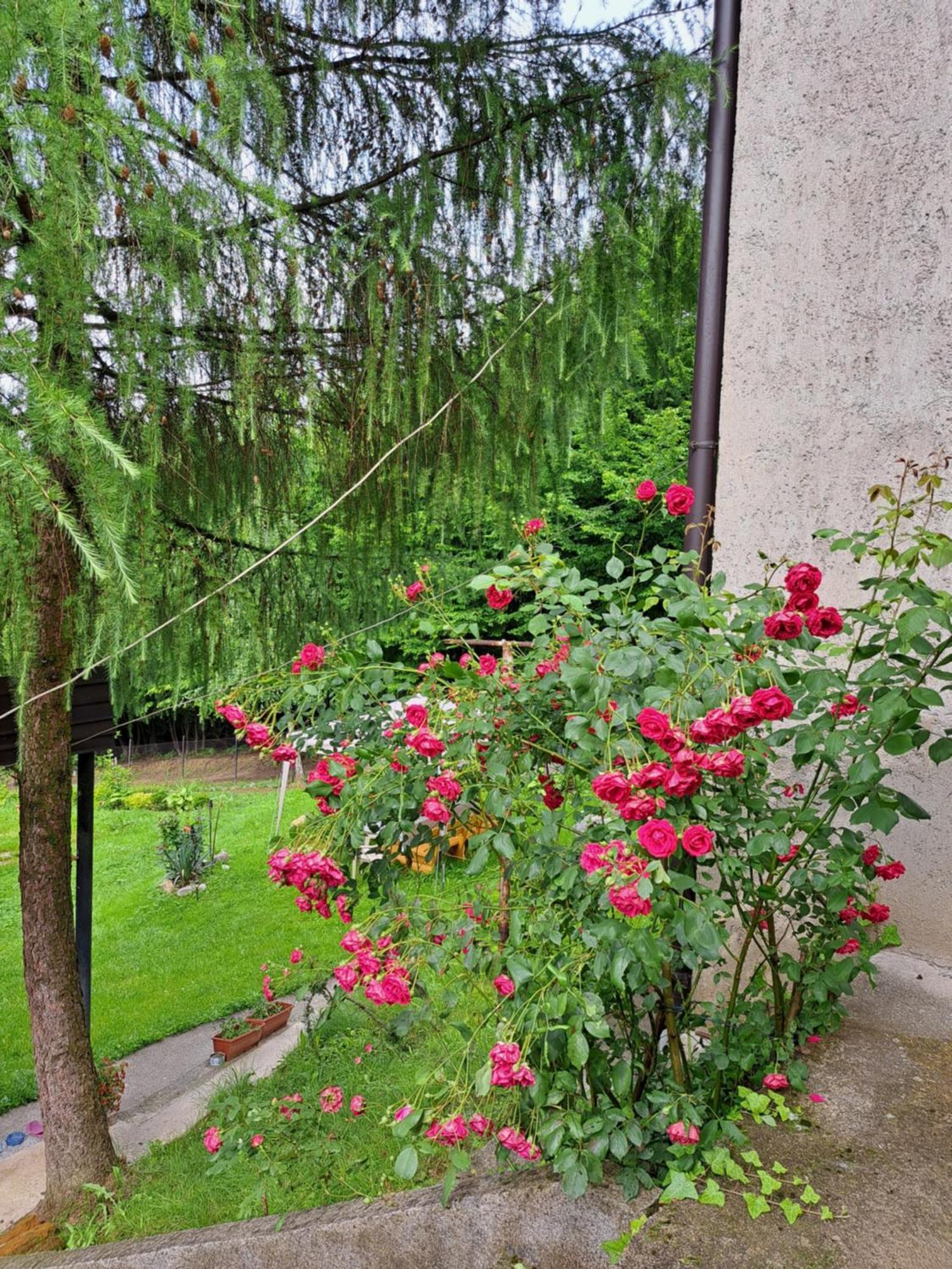 Mala Farma Nani Villa Visoko Buitenkant foto