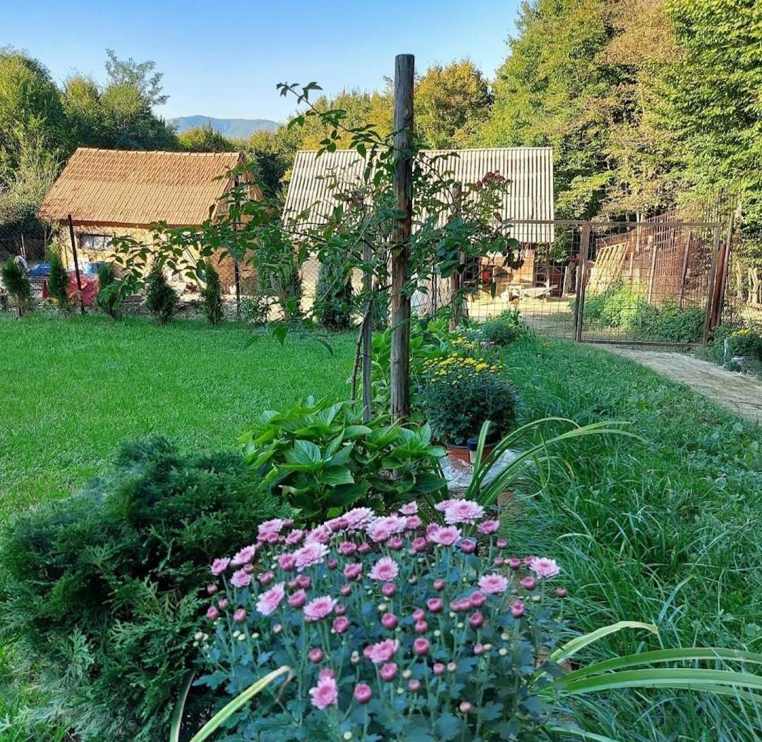 Mala Farma Nani Villa Visoko Buitenkant foto