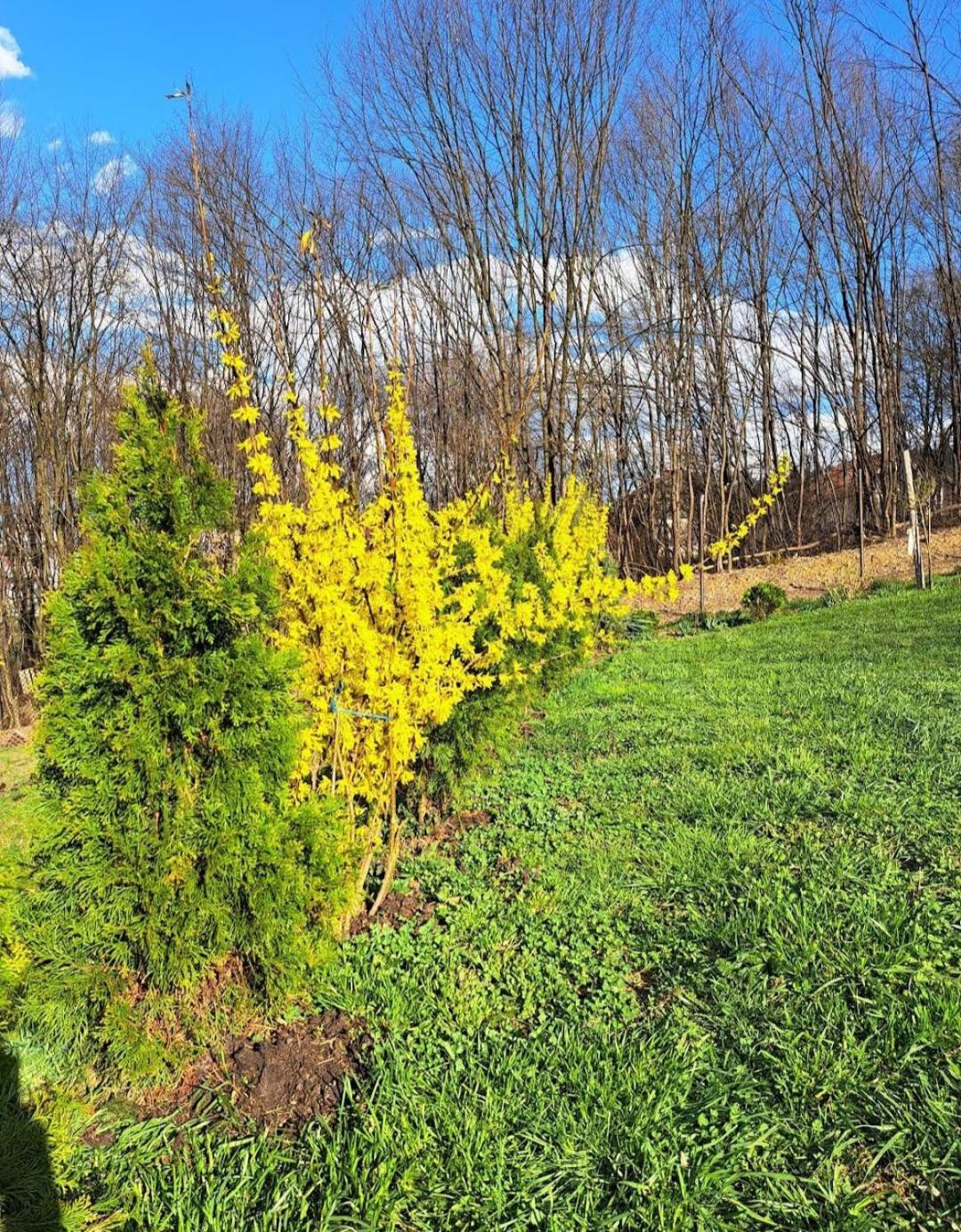 Mala Farma Nani Villa Visoko Buitenkant foto