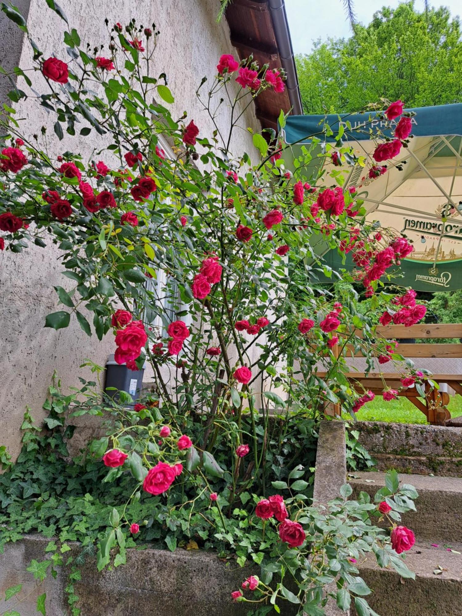 Mala Farma Nani Villa Visoko Buitenkant foto