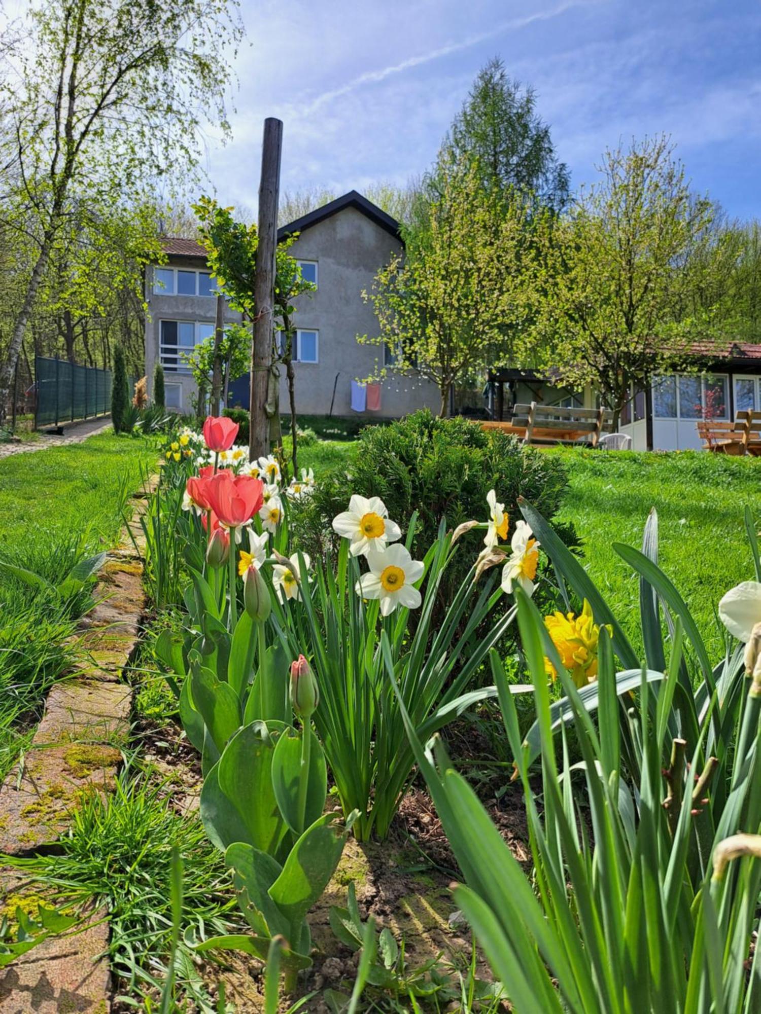Mala Farma Nani Villa Visoko Buitenkant foto