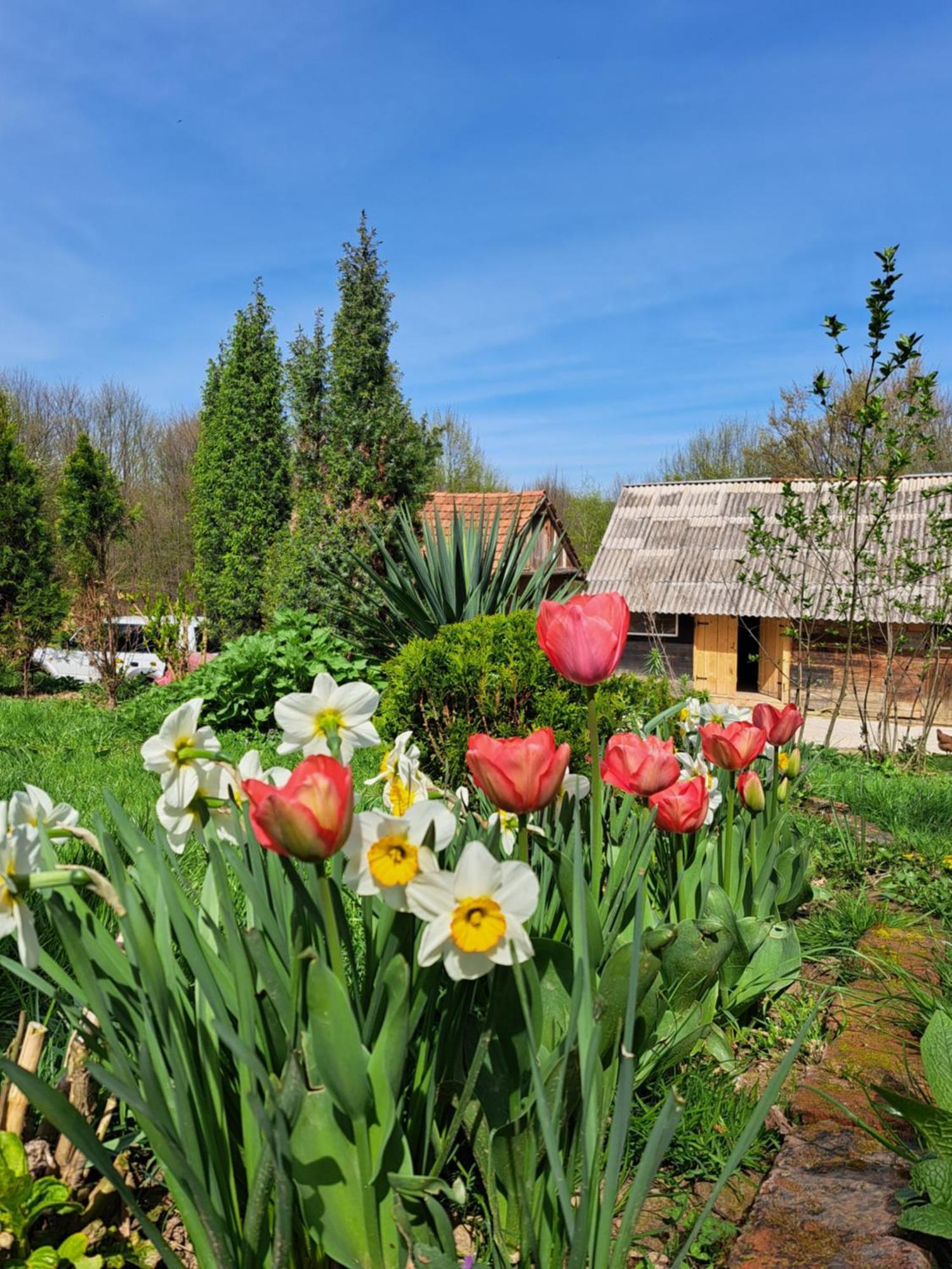 Mala Farma Nani Villa Visoko Buitenkant foto